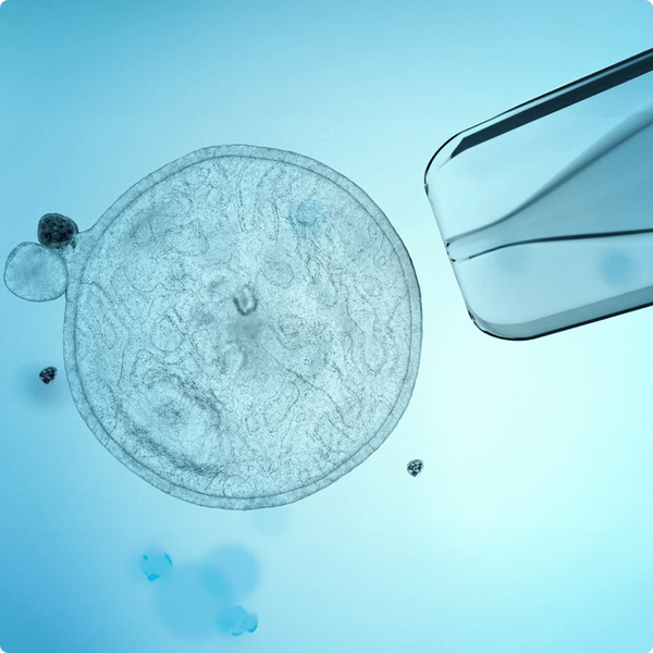 A New Standard in Premium Core Nutrition