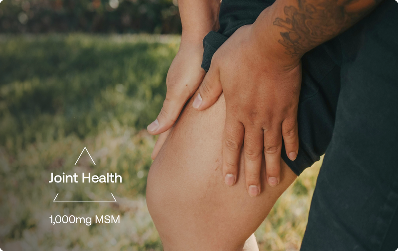 Protect Your Joints from High-Impact Stress