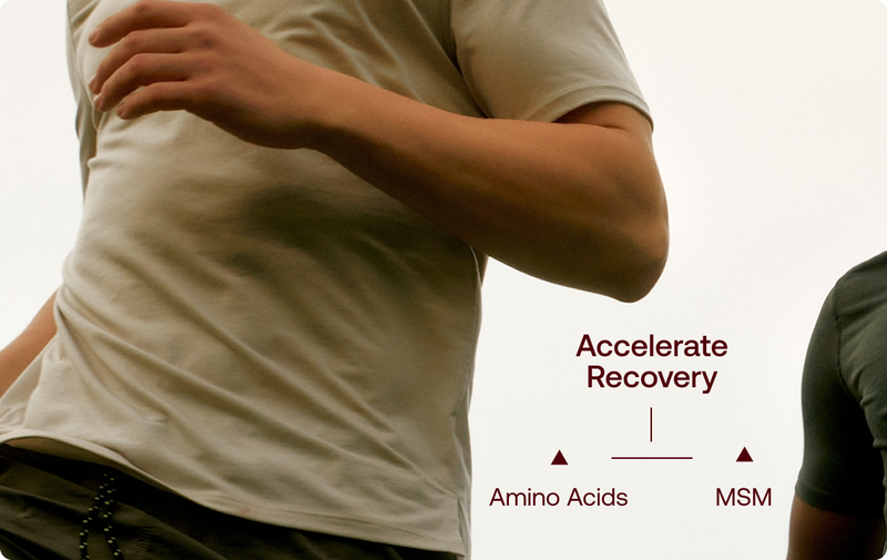Accelerate Recovery with Amino Acids & MSM