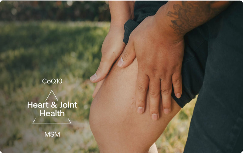 Support Their Active Lifestyle for Years to Come